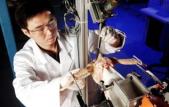 Georgia Tech researcher Debao Zhou tests an automated system for poultry...