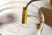 A peripheral nerve interface being developed at GTRI could lead to more ...